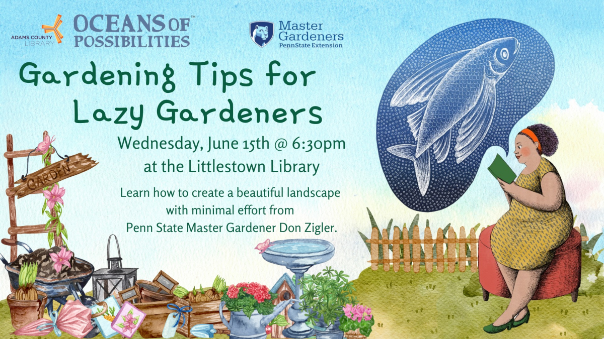 Gardening Tips for Lazy Gardeners