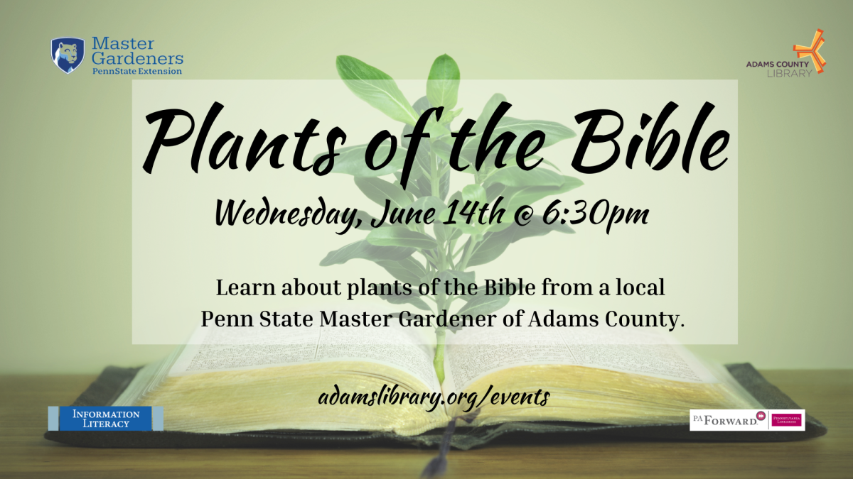 Plants of the Bible