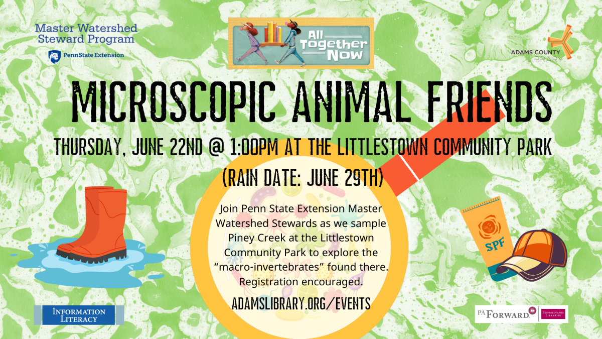 Microscopic Animal Friends