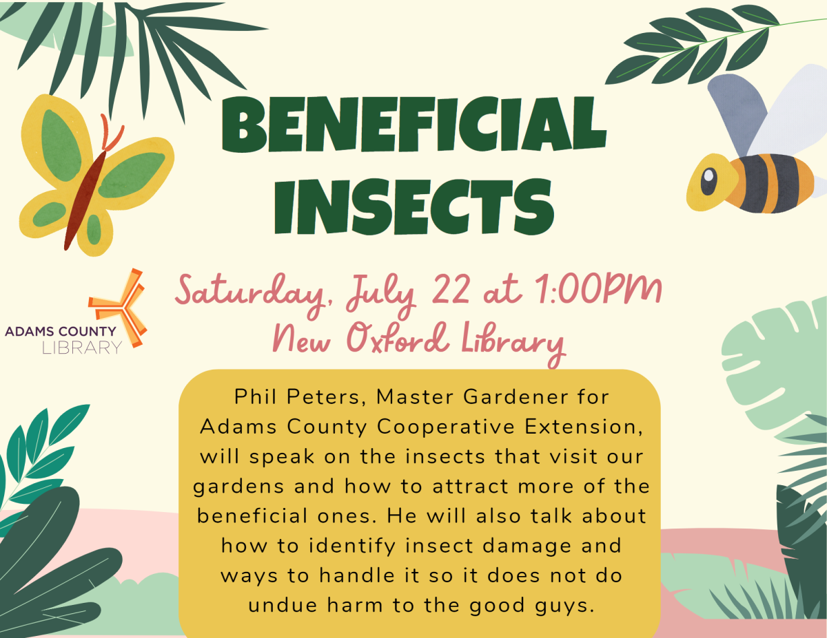 butterflies and bees