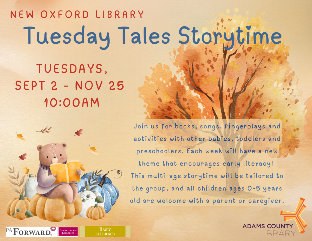 storybook bear reading on pumpkins