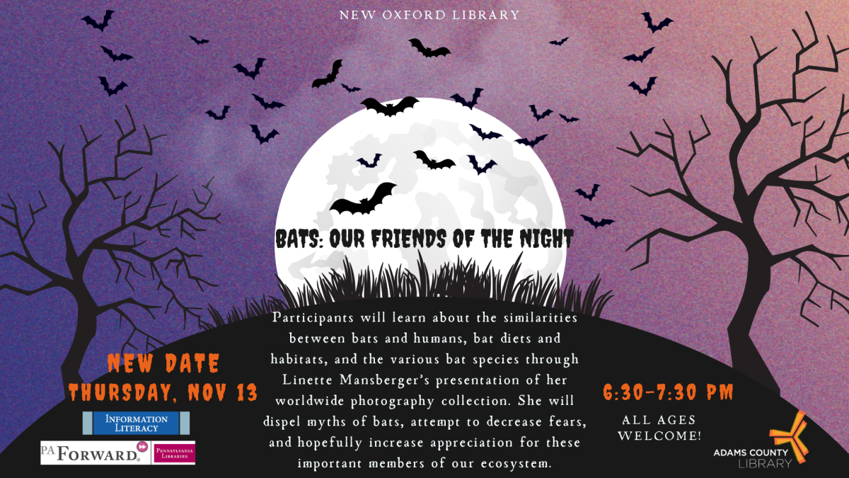 bats silhouetted against the moon